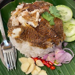 ข้าวปลาเเกะ ลานอารยา by jane