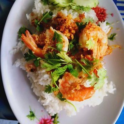 ผัดกะเพรากุ้ง