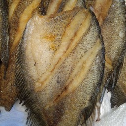 ปลาสลิด