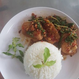 ข้าวกระเพรา ปลา พริกแห้งรสจัดจ้านหอมอร่อย