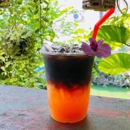 ต้นคูน กาแฟ
