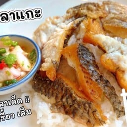 ข้าวปลาแกะ 1 ตัว