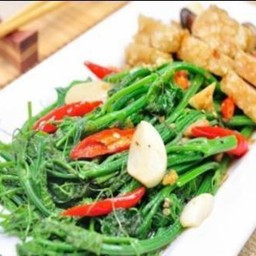 ผัดยอดมะระหมูกรอบ