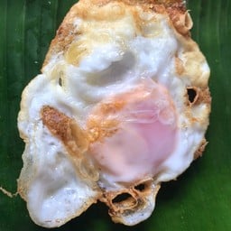 ไข่ไก่ดาวน้ำมัน