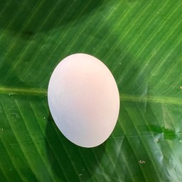 ไข่เค็ม