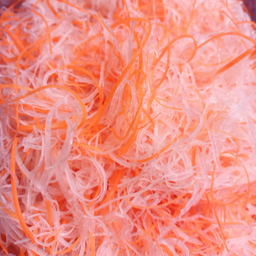 ไชเท้าฝอย