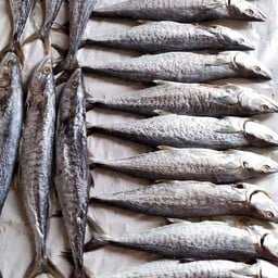 ปลาทูอินทรีย์เค็ม