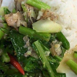 ข้าวราดคะน้าปลาเค็ม