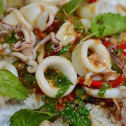 กระเพาปลาหมึก ราดข้าว