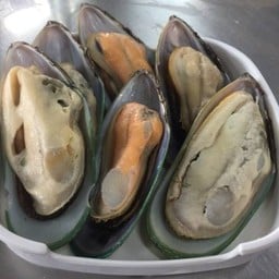 หอยนิวซีแลนด์