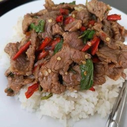 ผัดกะเพราเนื้อราดข้าว