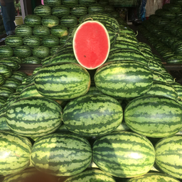 แตงโมเป็นลูก