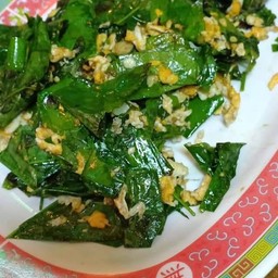 ยอดเหรียงผัดไข่