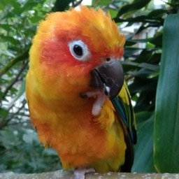 ให้ TIPS ร้าน