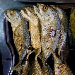 ปลาทูน้อย