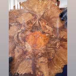 Soft shell crab senbei