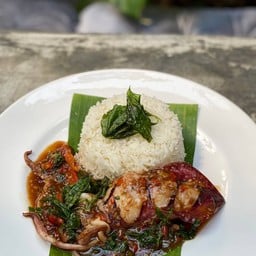 ข้าวราดกะเพราปลาหมึกไข่ให้ทั้งตัว