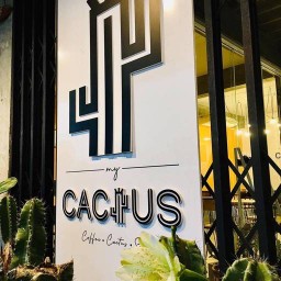 My Cactus