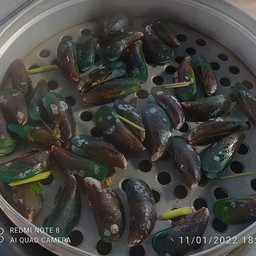 หอยแมลงภู่นึ่ง