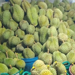 ทุเรียนซิ่ง แพรกษา/บางพลี