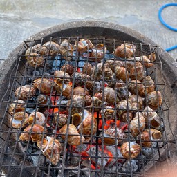 หอยหวานใหญ่ ย่าง