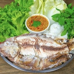 JJ ปลาเผา 2465 ไม่มี