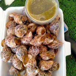 หอยหวานย่าง 1กิโล