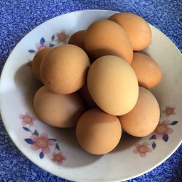 ไข่ไก่ไข่ต้ม