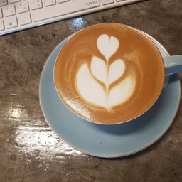 One Work Agri Maker กาแฟอารมณ์ดี ชาตาหวาน ประตูท่าแพ เชียงใหม่