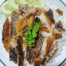 ข้าวหมูทอด&ข้าวมันไก่&ข้าวปลาแกะ
