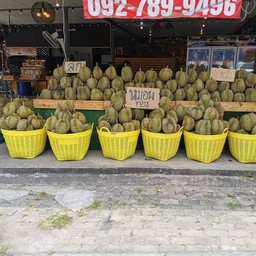 ทุเรียนหมอนทอง