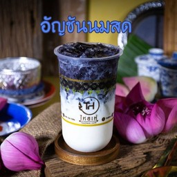 นมสดอัญชัน