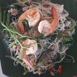 หมี่กระเฉด ทะเล