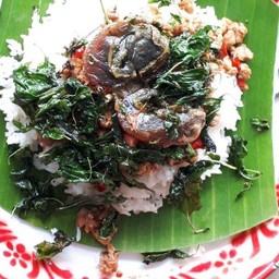 ข้าวกระเพราไข่เยี่ยวม้า