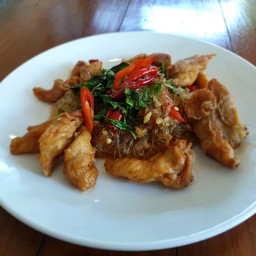 ผัดวุ้นเส้นกระเพราไก่กรอบ