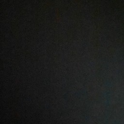 ผัดพริกแกงหมูสับ