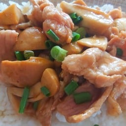 ผัดน้ำมันหอย(กับข้าว)