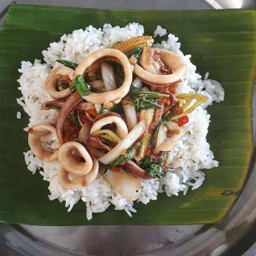 กระเพราทะเล