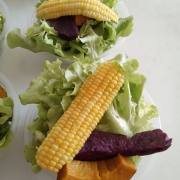 สลัดอกไก่