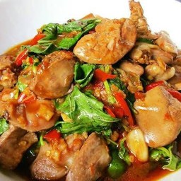 กระเพราเครื่องในไก่ราดข้าว