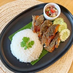 •ข้าวปลาแกะ