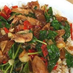 ผัดกระเพราขาหมูราดข้าว