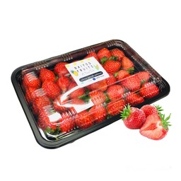 สตอเบอรี่อเมริกาล้างสะอาดพร้อมทานคัดไซส์XL