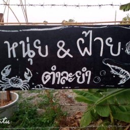 หนุ่ย&ฝ้าย ตำละยำ
