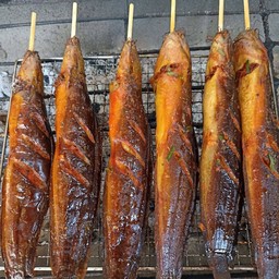 ปลาดุกย่าง