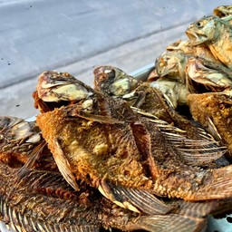 ข้าวแกงปักษ์ใต้ระนอง