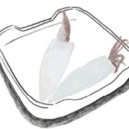 ปลาหมึก