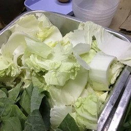 ผักกาดขาว