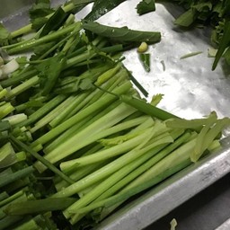 ขึ้นฉ่าย