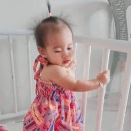 โฮมเมดบ้านหนูพีช